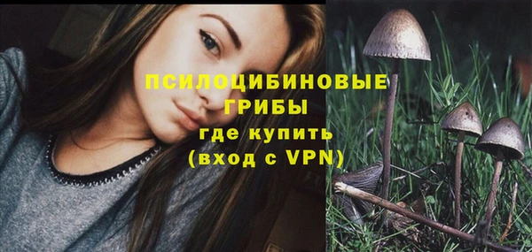кокаин Белокуриха