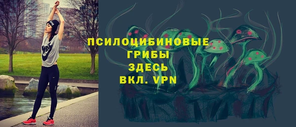 бошки Беломорск